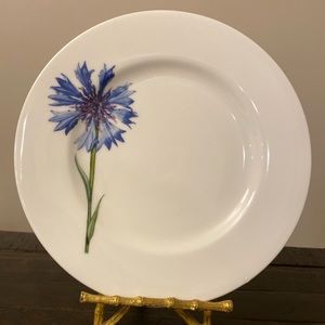 Richard Ginori 1735 “Antinea” Salad Plate, Bone China Plate 8 Inches